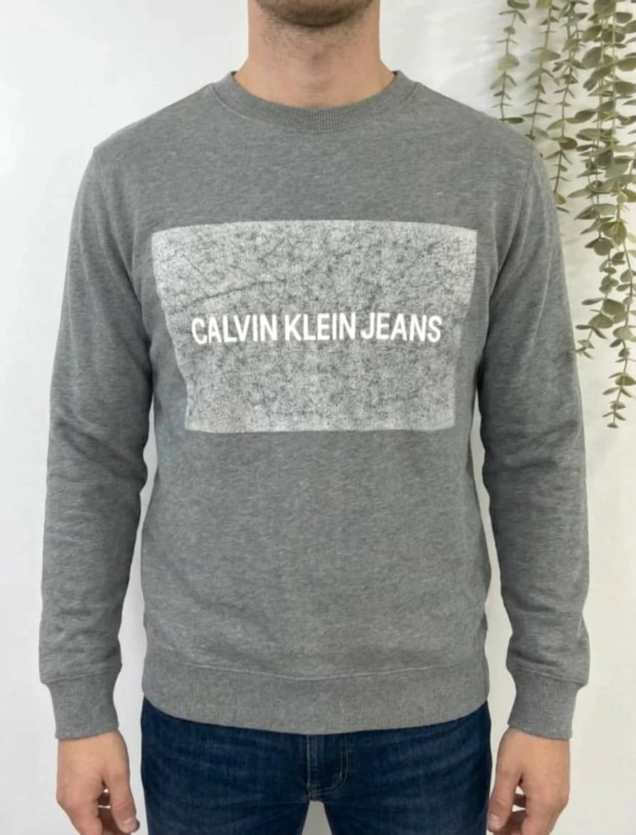 Crewneck Calvin Klein gris argenté taille S