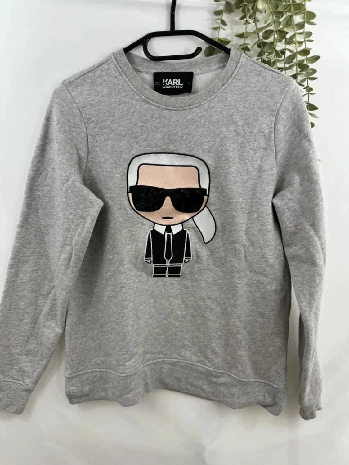 Sweat gris Ikonik Karl Lagerfeld taille XS - Photo 2/10