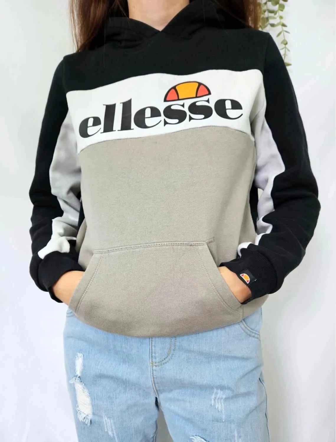 Sweat à capuche Ellesse tricolore